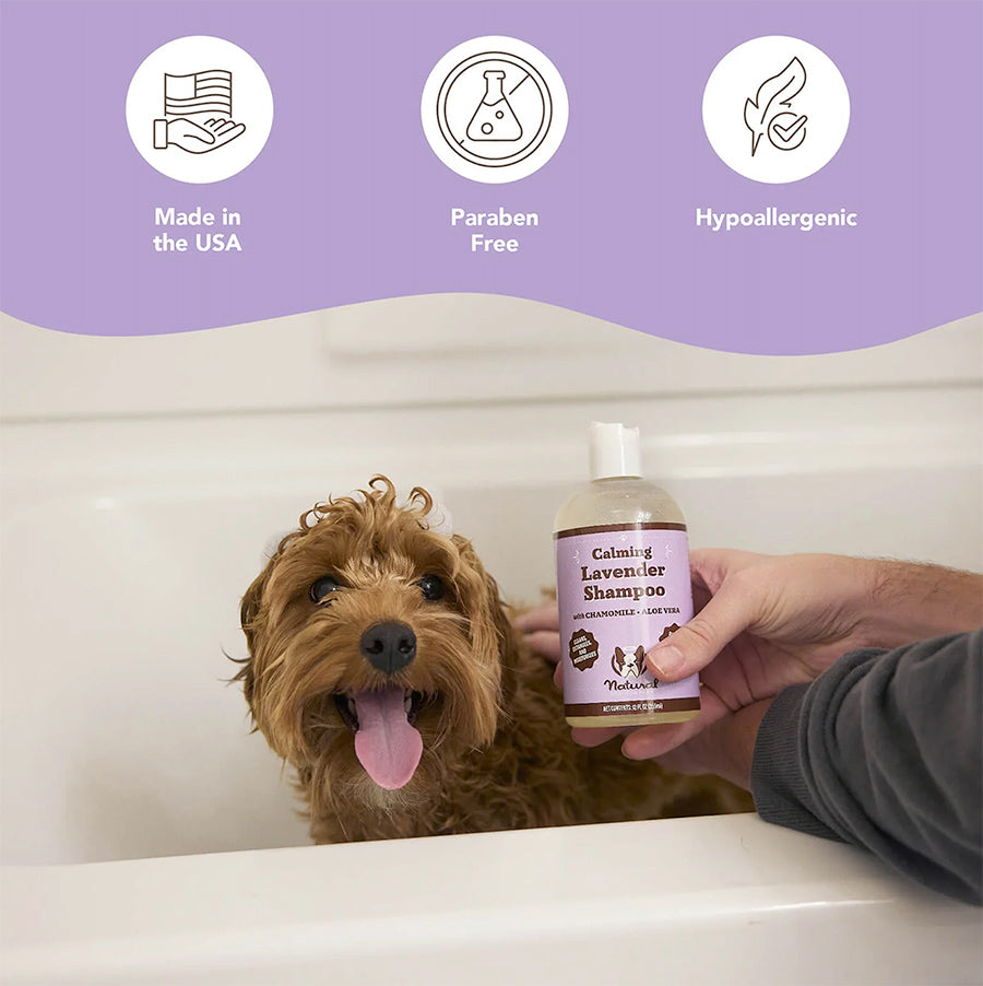 Champú calmante lavanda