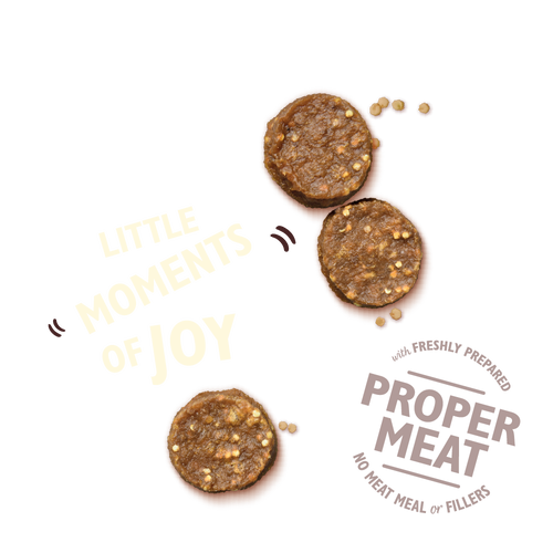 Lily´s Kitchen Chicken Bites