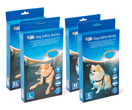 CINTO + CINTO DE CARRO