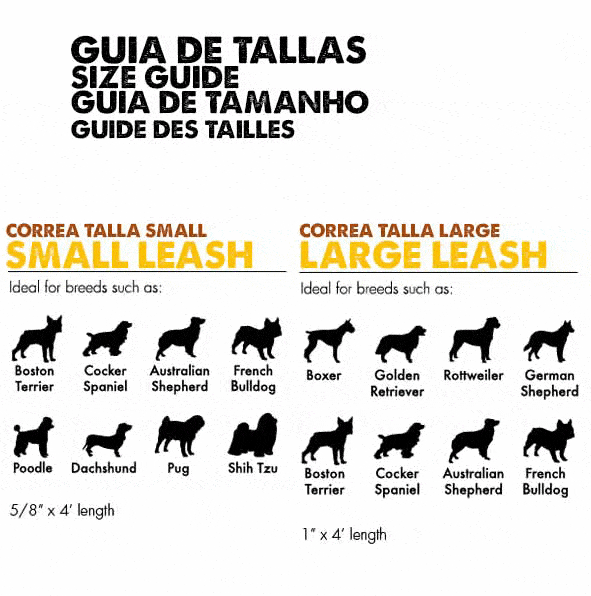 TRELA ZEE.DOG PAISLEY