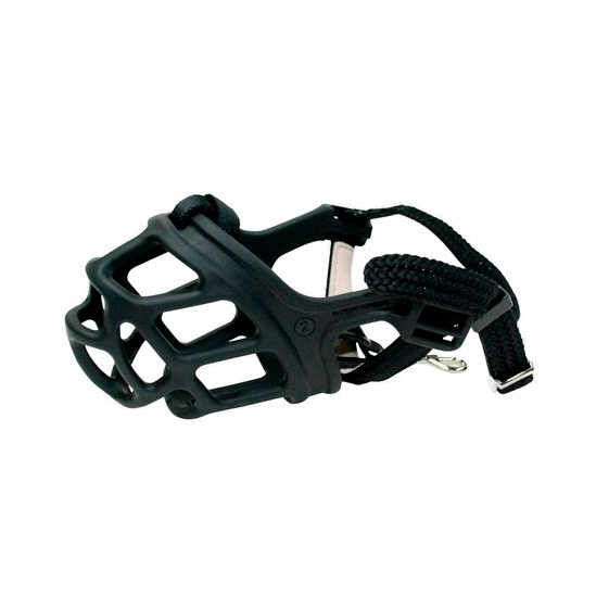 Focinho Alfa de Zeus