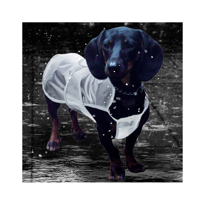 Capa de chuva transparente