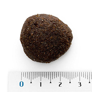 Natura Diet Daily Food Maxi perro