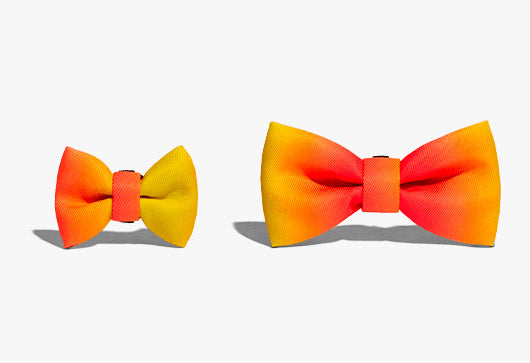 zeedog pajarita citrus