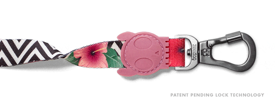 Mahalo zee.dog correa