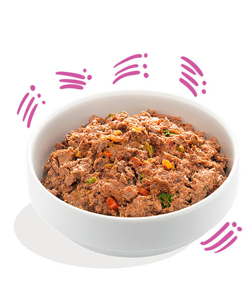 Edgard Cooper (Delicious Game & Duck)