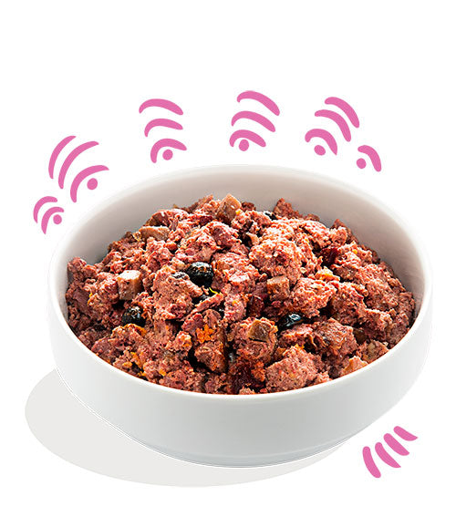 Edgard Cooper (Delicious Game & Duck) 400