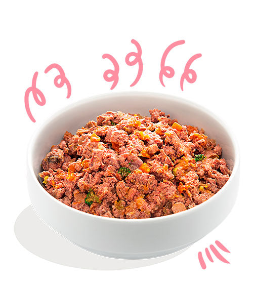 Edgard Cooper Puppies Duck & Chicken 400