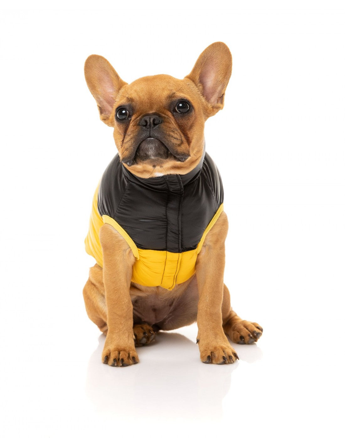 Fuzzyard Chaqueta Harlem Amarillo