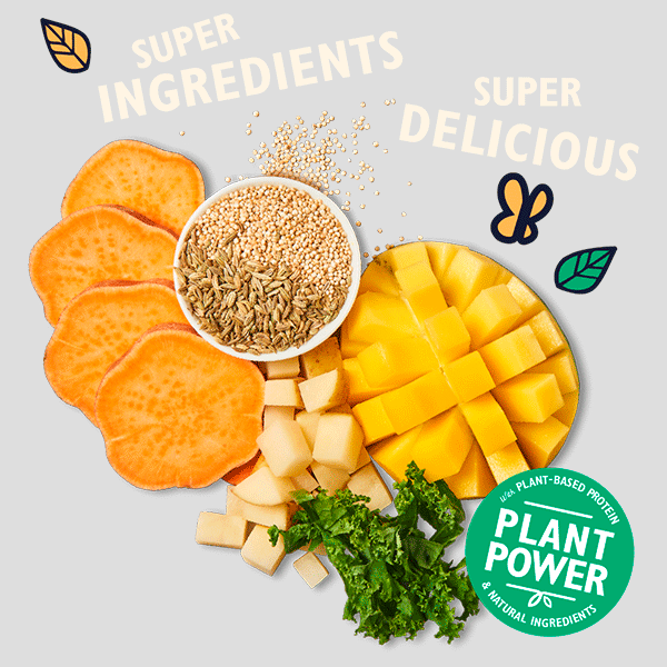 Lily´s Kitchen Mango Jerky premio para perro