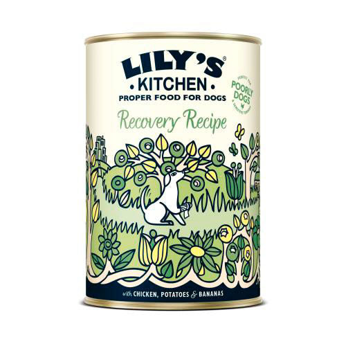 Lily´s Kitchen Recovery (ajuda a digestão)