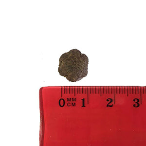 Natura Diet Salmón y Coco