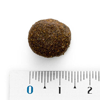 Natura Diet Puppy Large