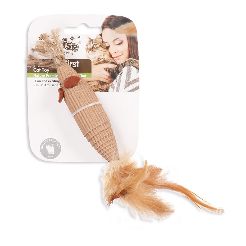 Rato Louco da Natureza