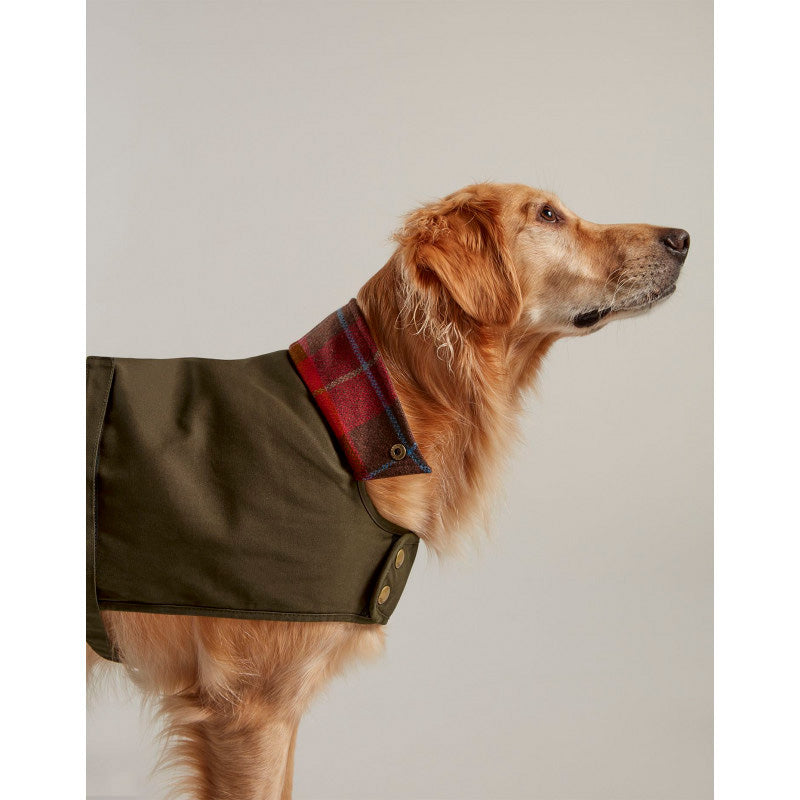 Rosewood Joules Parka perro barbour