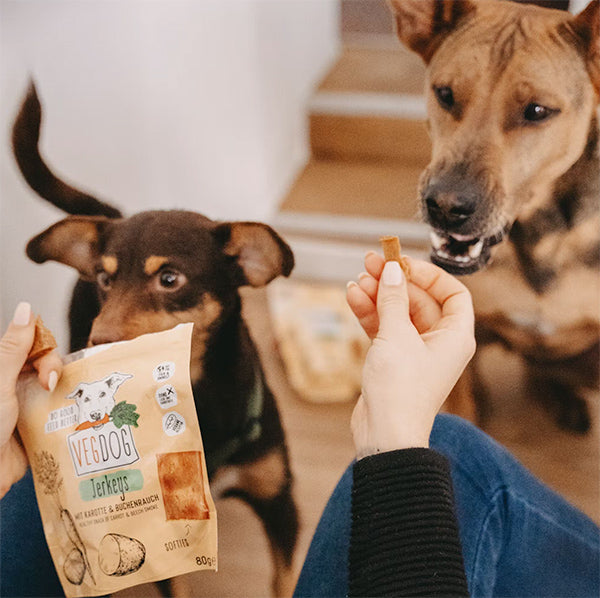 Vegdog Jerky Zanahoria perro