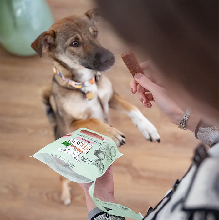 Vegdog Dental Small Tapioca