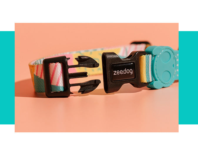 zee.dog salina collar perro