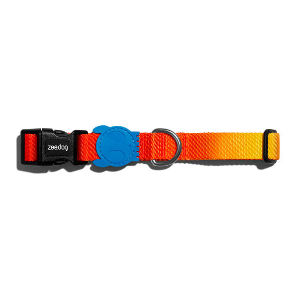 zeedog solaris collar perro