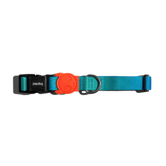 zeedog collar tide perro