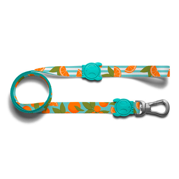 zee.dog florida leash