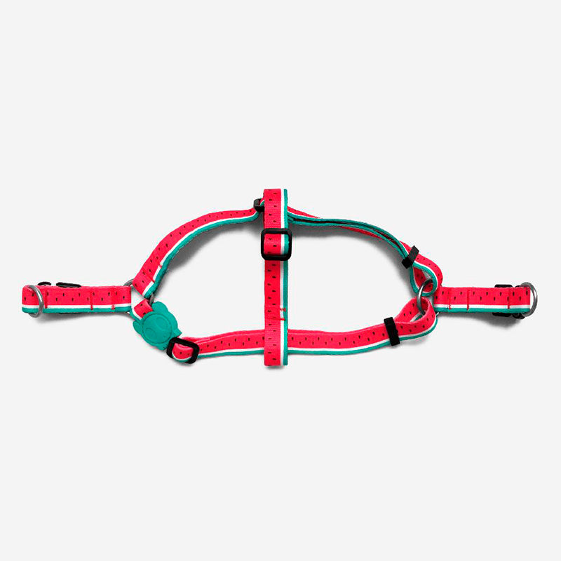 zee.dog lola harness