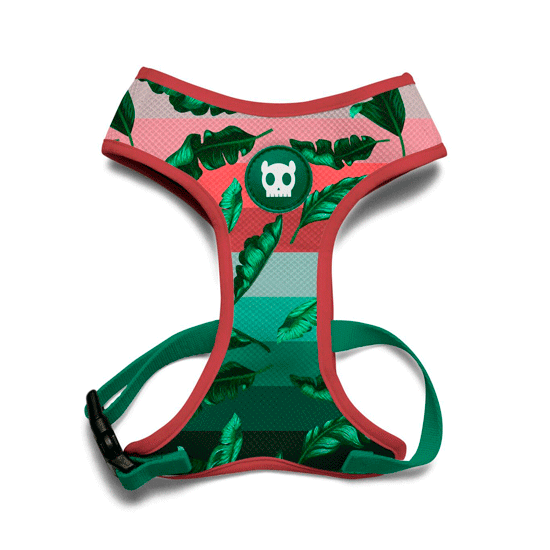 zeedog bali air mesh