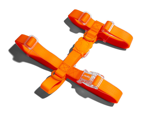 zeedog peitoral tangerine