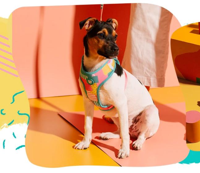 zeedog salina air mesh arnes perro