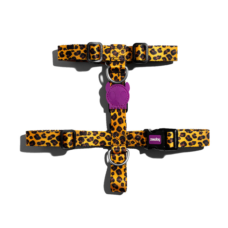 Zee.Dog Honey arnes perro