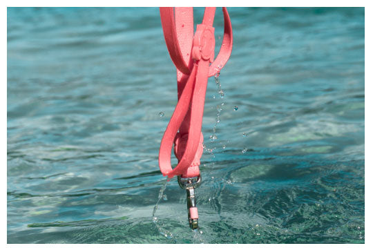 Zee.Dog Trela Neopro Bubblegum