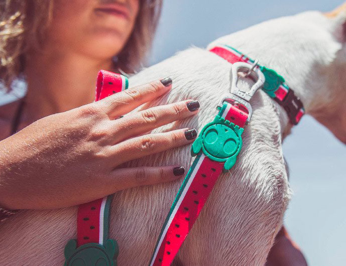 Zee.Dog Lola leash Trela