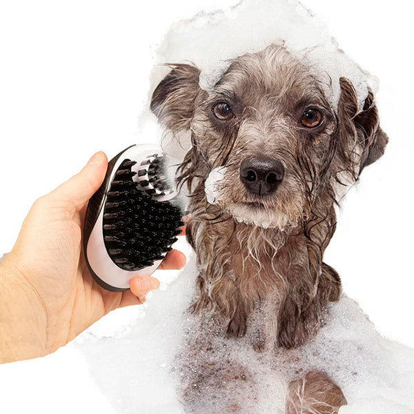 Duvo Shampoo Brush Dispenser perro