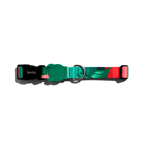 zeedog collar bali